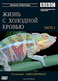 BBC: Жизнь с холодной кровью смотри онлайн бесплатно